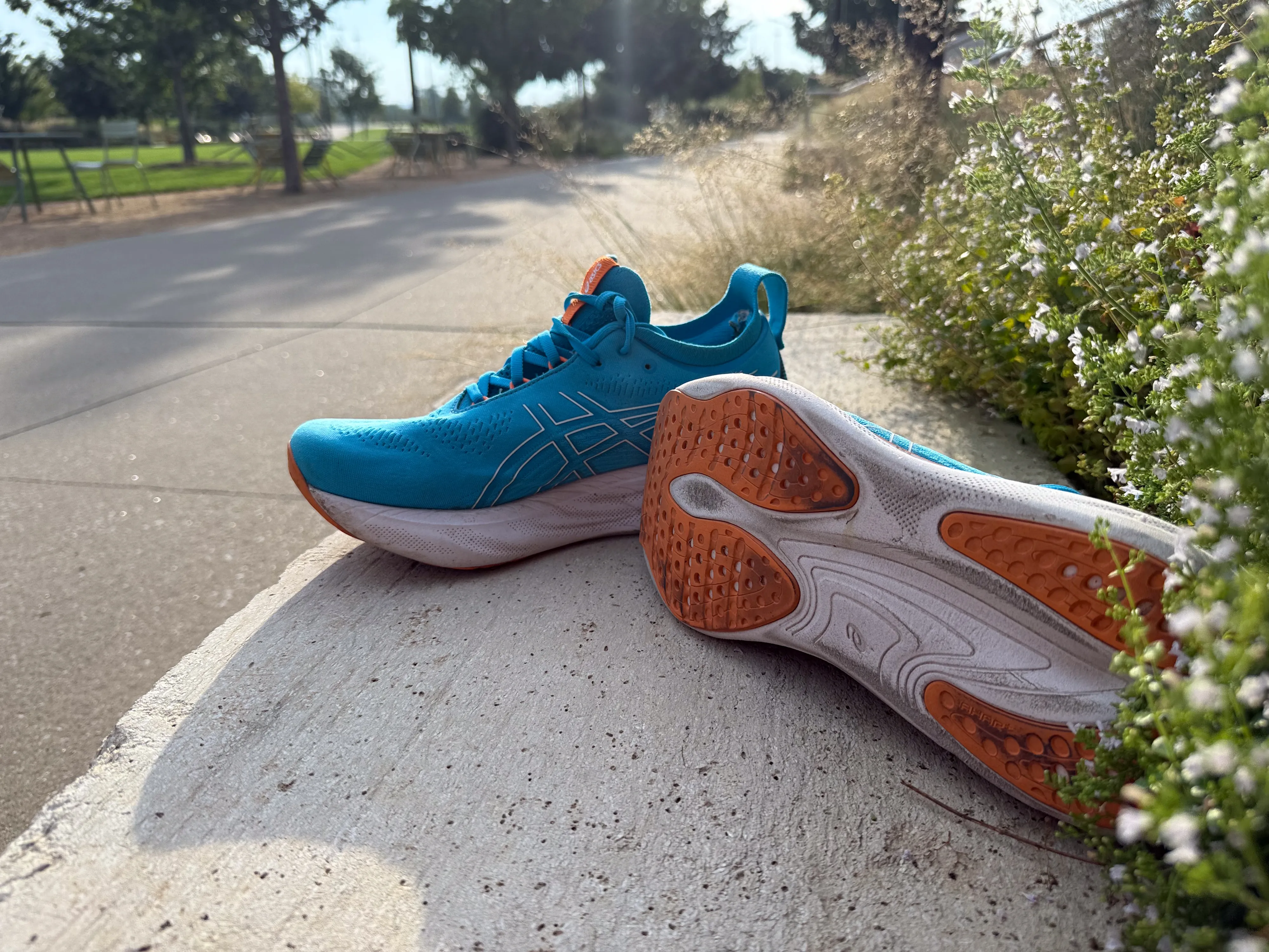 A picture of the Asics Gel Nimbus 25 running shoe